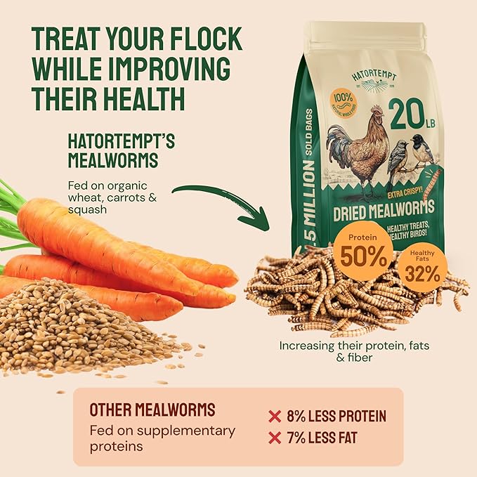 Hatortempt Dried Mealworms - Non-GMO &amp Organic - High-Protein Mealworms for Wild Bird Food Ducks &amp Chickens (5lb)