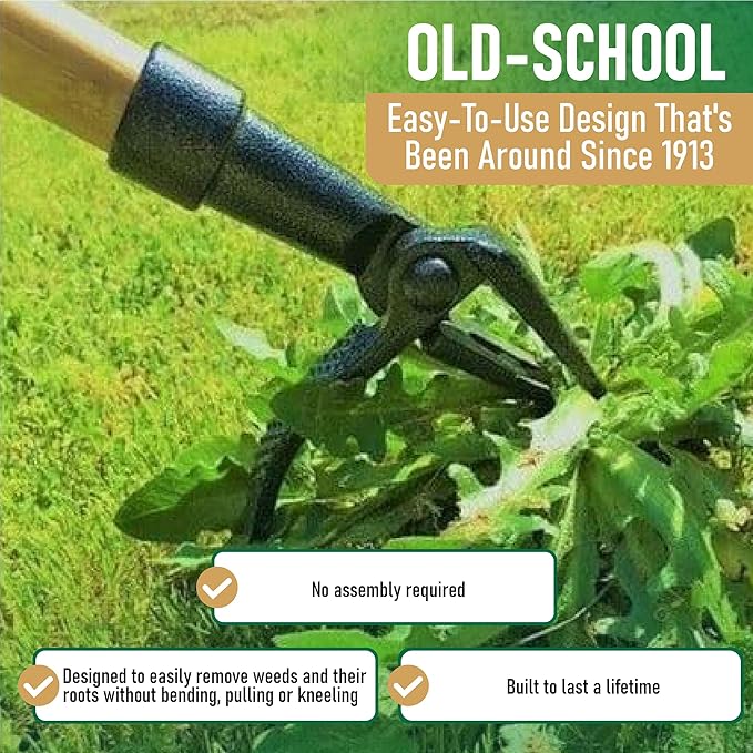 Grampa's Weeder - The Original Stand Up Weed Puller Tool with Long Handle - Made with Real Bamboo &amp 4-Claw Steel Head Design - Easily Remove Weeds Without Bending Pulling or Kneeling.