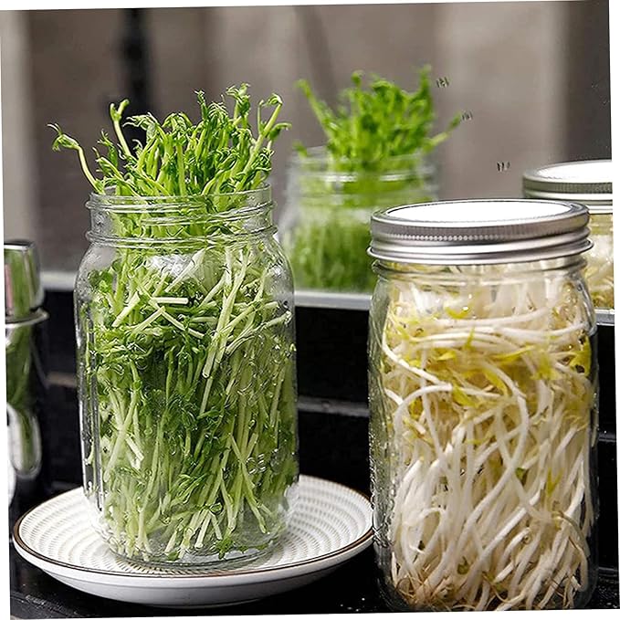 Sprouting Jar 2 Sets Wide Mouth Seed Sprouter with Mesh Lid 16oz Sprouting Kit with Adjustable Stand 4.92in Transparent Sprouts Growing Kit for Beans Broccoli