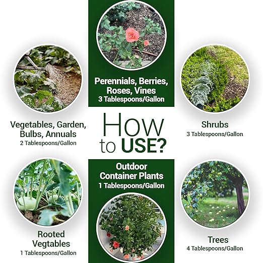 Elm Dirt Fish Emulsion Fertilizer - High Energy Liquid Fertilizer for Plants 2-3-0 | Increase Biological Activity &amp Improve Nutrients Vegetable Garden (32 oz)