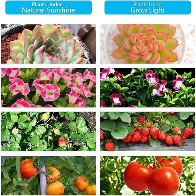 Grow Lights for Indoor Plants Growing 3/9/12h Timer &amp 10 Dimmable Levels Full Spectrum 40W LED Red Blue Light Plant Grow Lamp for Home Greenhouse Plant Lighting Flexible Adjustable Gooseneck Cl