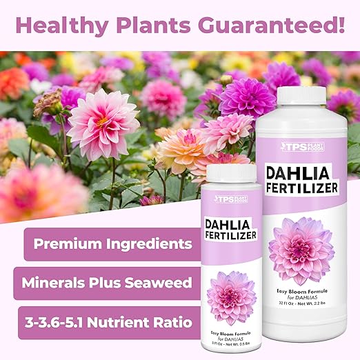 Dahlia Fertilizer – Liquid Plant Food for Bigger Blooms Vibrant Color &amp Stronger Root Development 32 oz