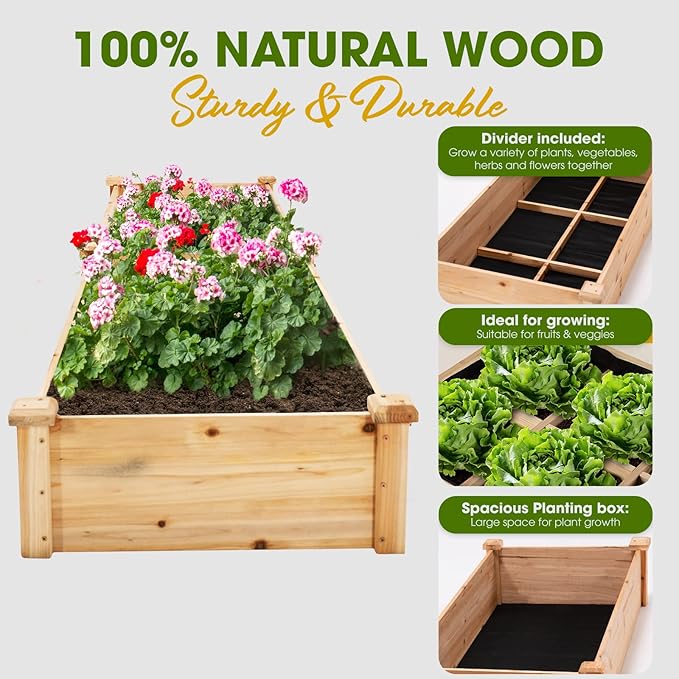 Idzo Raised Garden Bed Durable Garden Box with Wax Oil Coated 96 Inches Wood Planter with Non-Woven Lining Prevents Soil Moist One Divider Box Make Organizing Your Plant Crops Easier