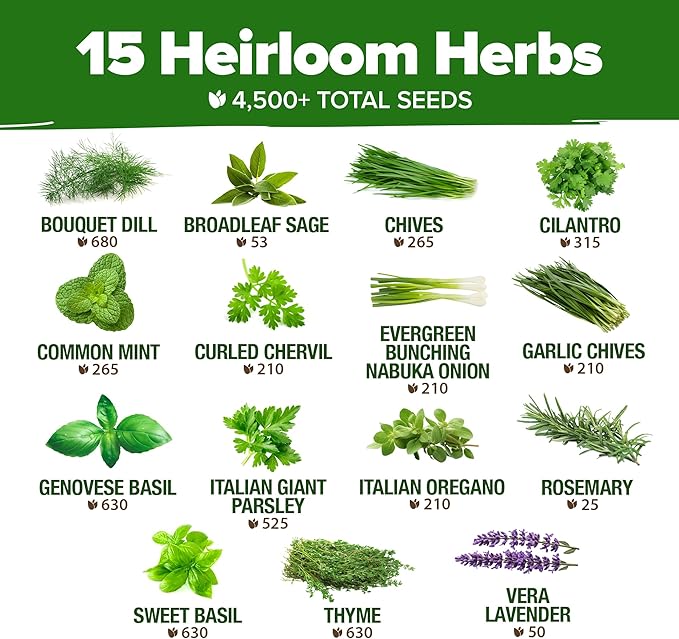 55 Vegetable Seeds &amp 15 Culinary Herb Seeds Pack – 32500+ USA Non-GMO Heirloom Seeds for Planting – Survival Garden Kit for Preppers – Gifts for Gardeners Men Women