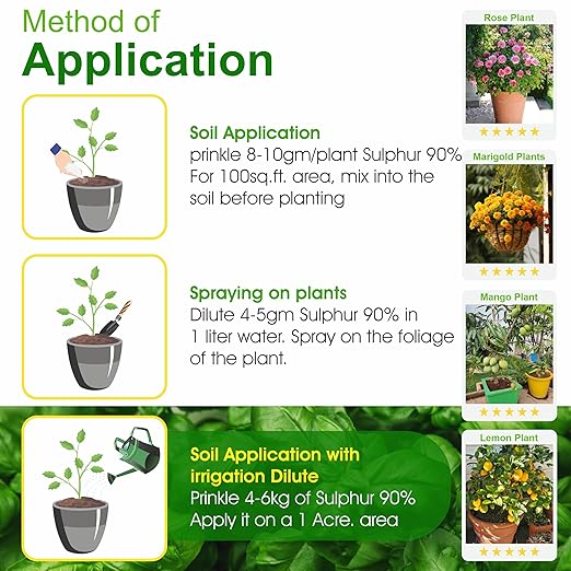 Go Garden Sulphur 90% WG Micronutrient Fertilizer 900G - Enhances Yield Quality &amp Quantity Ideal for Fruits Flowers Vegetables Efficient Sulphur Release Plant Growth Booster