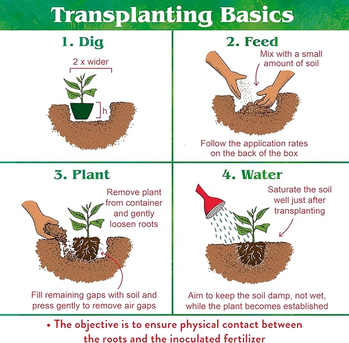 Down To Earth All Natural Fertilizers Organic Bio-Live Starter &amp Transplant Mix with Mycorrhizal Fungi and Benefical Microbes for Plant Food 5-4-2 25 lb
