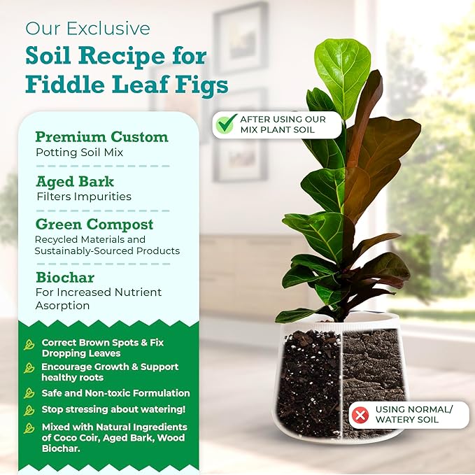 100% Organic Fiddle Leaf Fig Soil – Optimally-Draining Potting Mix for Healthy Roots Fewer Brown Spots &amp Faster Growth | Enriched with Biochar &amp Bark | Made in USA | Large 7.5L Bag