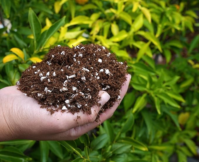 Happy Trees Coco Coir and Perlite 70/30 Growing Medium Potting Mix Seed-Starting Premium Quality Triple-Washed for Low Salt/EC pH Balanced Loose Coconut Fiber Peat-Free 50L (1.8 cu.ft.)
