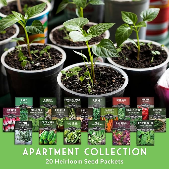 Hydroponic &amp Indoor Garden Seed Kit – 20 Compact Heirloom Vegetable &amp Herb Varieties | Apartment Small-Space Patio &amp Vertical Tower Growing | Family Garden Gift – Survival Garden Seeds