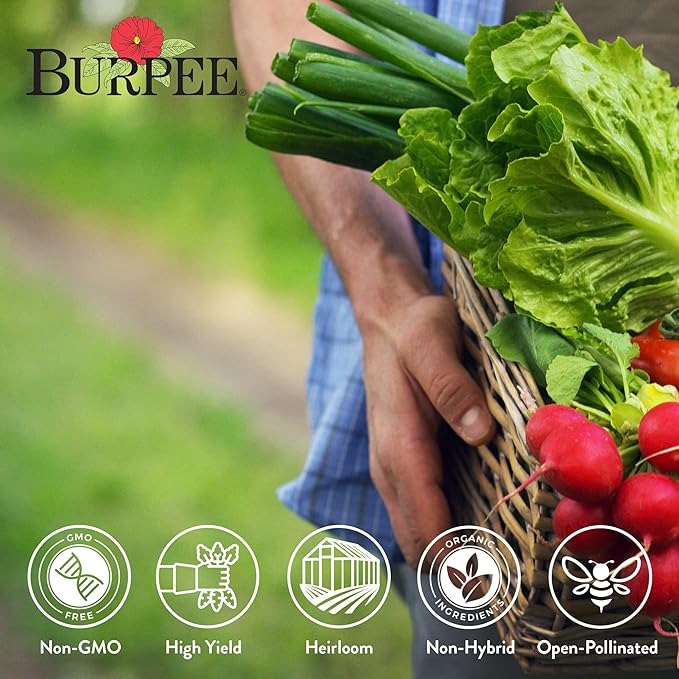 Burpee Heirloom Vegetable Seeds - 15000+ Seeds - Beans Beets Cauliflower Celery Collards Cucumber Eggplant Kale Lettuce Okra Onion Pea Sweet Pepper Radish Squash Tomato Turnip