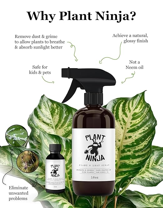 Plant &amp Leaf Spray – Non-Toxic Leaf Shine &amp Protector | Eco-Friendly Safe for Indoor Plants | Handcrafted Women-Owned 3rd Generation Recipe | Plant-Based Formula with Gentle Silicone