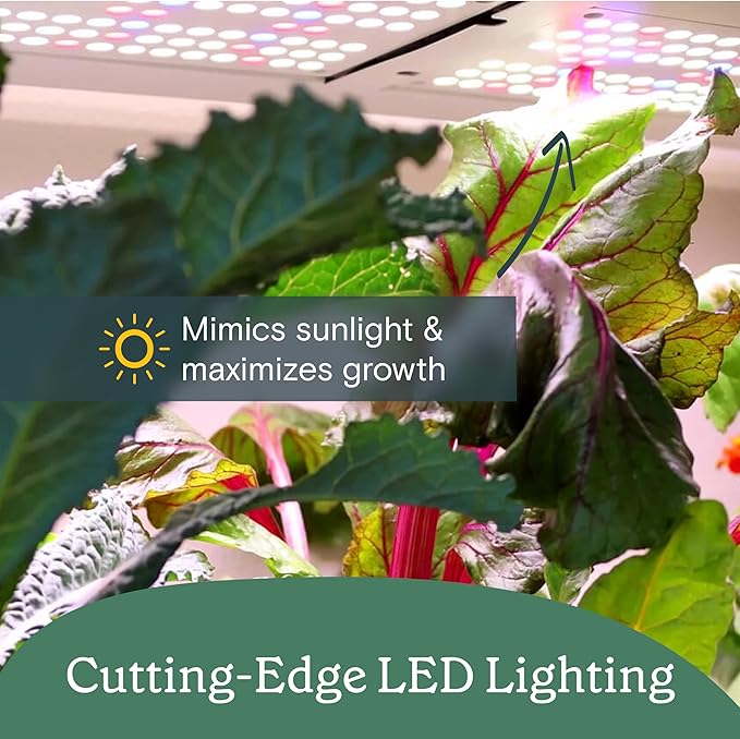 Rise Gardens 1 Level Garden | Hydroponics Growing System Wi-Fi &amp App Controlled Indoor Garden with Growing Lights &amp Self-Watering System | Cloud