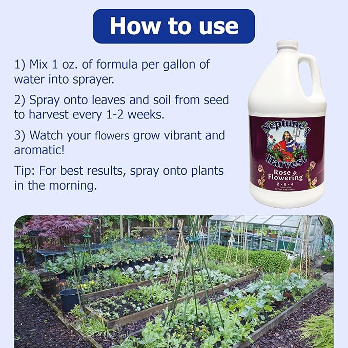 Neptune's Harvest Rose &amp Flowering Fertilizer (2-6-4) - 1 Gallon - Organic Liquid Rose Food for Vibrant Blooms &amp Growth - Promotes Healthy Foliage - Ideal Fertilizer for Indoor &amp Outdoor U