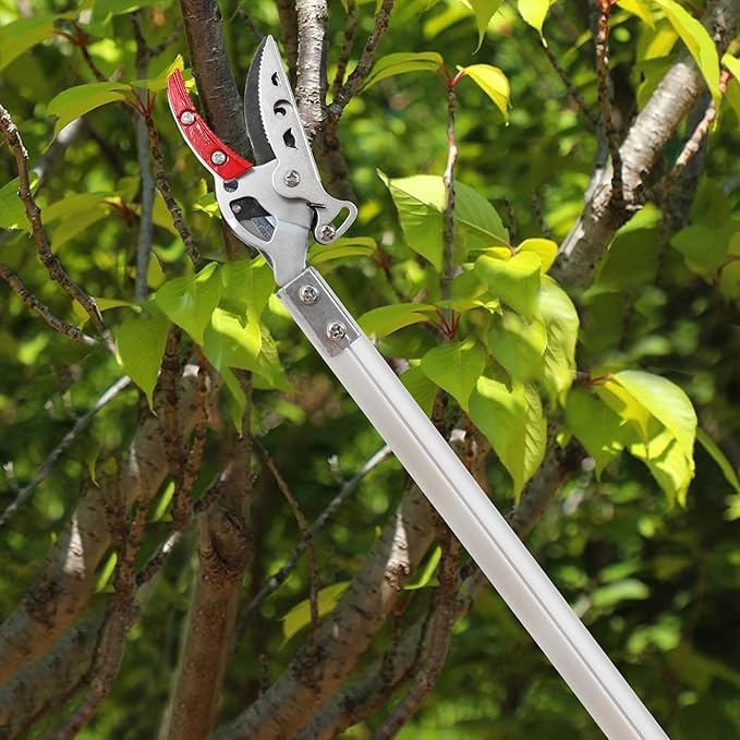GARTOL Cut &amp Hold Pole Pruner 4.2 FT Lightweight Fruit Picker with 180° Rotating Handle SK5 Steel Blade Cuts up to 1/2 Inch Long Reach Garden Tree Trimmer &amp Branch Cutter for Shrubs Bushes