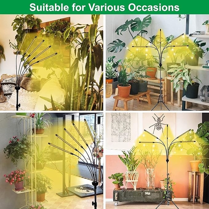 5-Head Adjustable LED Lights Full Spectrum Grow Lamp with Timer Warm White Light for Indoor Plants