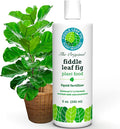 Fiddle Leaf Fig Plant Food – 3‑1‑2 Balanced NPK Liquid Fertilizer for Larger Leaves Stronger Roots &amp Steady Vibrant Growth | Suitable for All Ficus Including Ficus Lyrata | Made in USA | 8 oz
