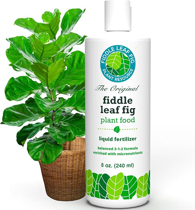 Fiddle Leaf Fig Plant Food – 3‑1‑2 Balanced NPK Liquid Fertilizer for Larger Leaves Stronger Roots &amp Steady Vibrant Growth | Suitable for All Ficus Including Ficus Lyrata | Made in USA | 8 oz
