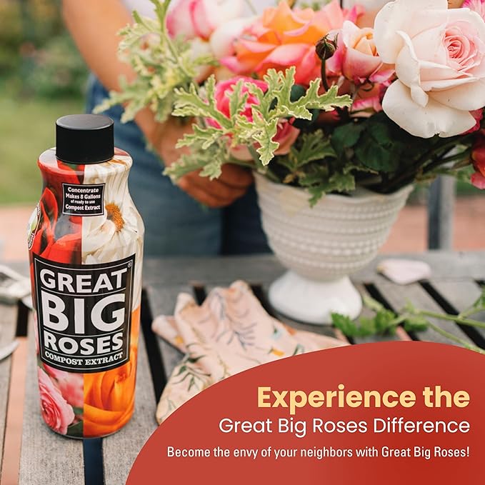 Great Big Roses – Soil and Rose Fertilizer Booster to Grow The Best Roses and Flowers Rose Food Compost Extract for Rose Bush 1 Gallon Concentrate (Makes 32 Gallons)
