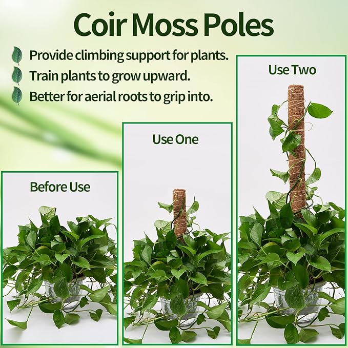 6 Pcs Moss Pole Extending to 68 Inches for Plants Monstera Plant Support Stakes for Indoor Climbing Plants Grow Upwards with 65ft Twist Ties 13ft Jute Rope 6.5ft Hook-and-Loop Strip