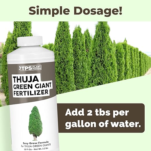 Thuja Green Giant Fertilizer – Liquid Plant Food for Faster Growth Fuller Green Foliage &amp Stronger Roots 32 oz