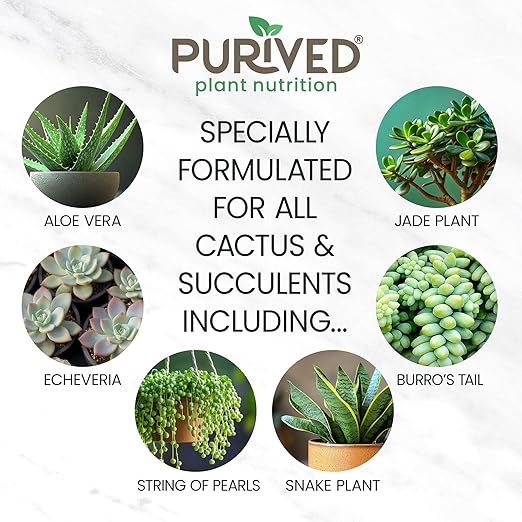 Purived 16oz Succulent &amp Cactus Liquid Fertilizer – Makes 50 Gallons Ideal for Aloe Jade Cacti &amp More All-Natural Groundwater Safe Made in USA