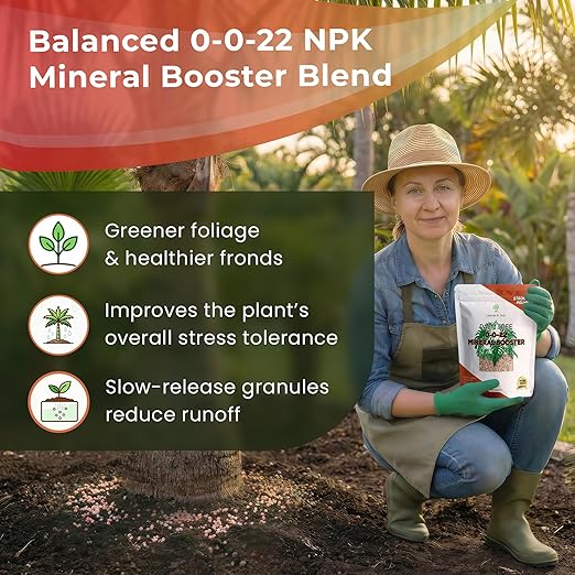 Leaves and Soul Palm Tree Mineral Booster - Granular 0-0-22 Blend - Fertilizer with Essential Nutrients for Outdoor Palms Citrus Trees &amp Tropical Plants - 5 lbs