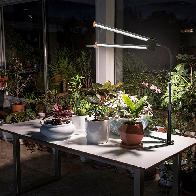 Grow Lights for Indoor Plant 6000K Full Spectrum Plant Lamp with Red Blue White LED for Pot Succulents Seed Growing Light Strip Foldable &amp Height Extendable 9-23'' Auto On Off Timing 4/8/12H