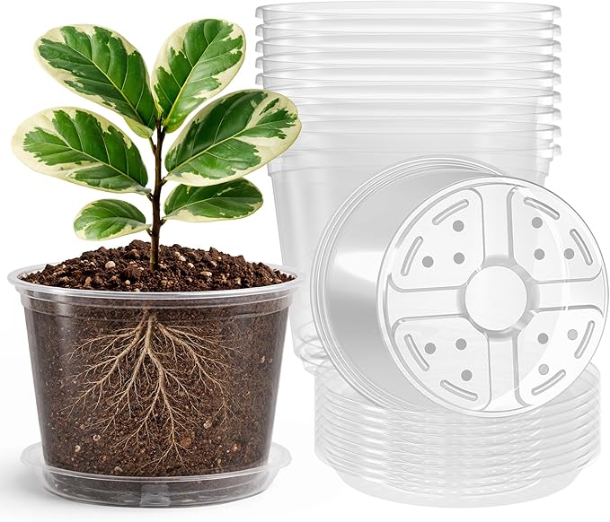 8 Packs 8 Inch Reinforced Large Clear Nursery Pots with Saucers Transparent Plastic Plant Pot Seedling Planter with Drainage Holes for Vegetable Propagation Root Cutting Seed Starting