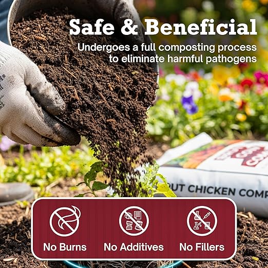 Brut Chicken Compost – Nutrient-Rich 100% Composted Chicken Manure Soil Amendment – Safe Pure Organic Compost – Additive-Free Soil Fertilizer for Vegetable Gardens Flowers &amp Indoor Plants – 10