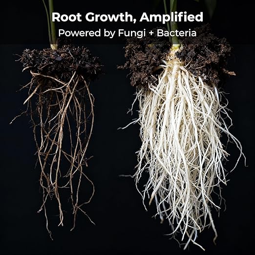 Real Growers Recharge 16oz – Mycorrhizae &amp Soil Microbes Instant Compost Tea for Root Growth Transplant Support &amp Nutrient Uptake