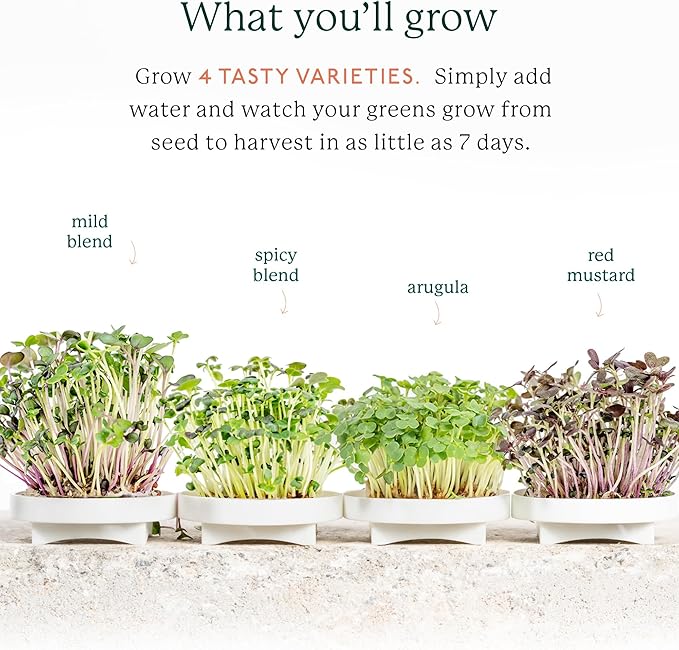 GARDYN Complete Microgreens Growing Kit - Indoor Herb Garden - Indoor Hydroponics Growing System Kit Nursery Seed Starter Tray 20 Seed Pads Bamboo Wicks10 Grow Plates