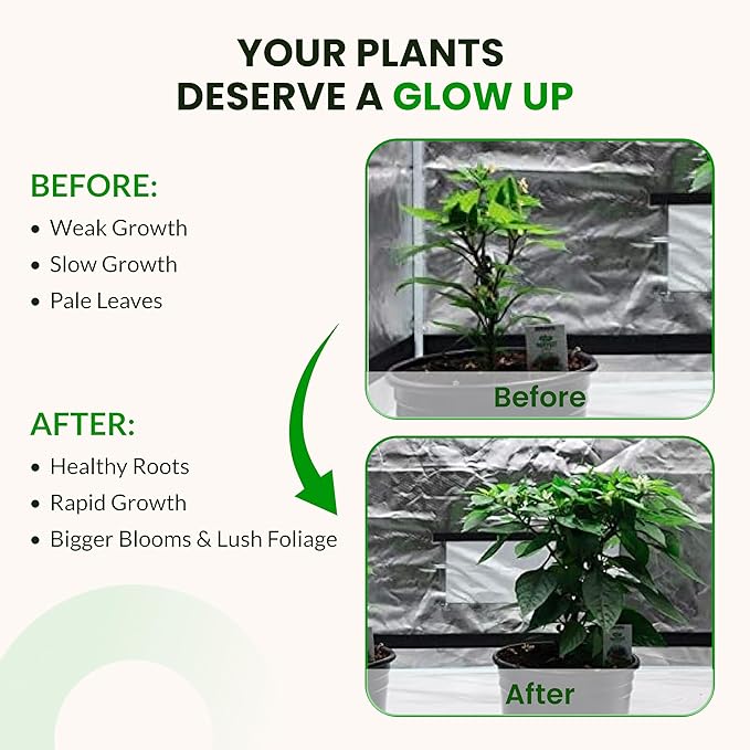 Humboldts Secret Starter Kit Pack XL | Indoor and Outdoor Plant Fertilizer and Hydroponic Nutrients | Base A &amp B CalMag and Iron Golden Tree Flower Stacker Plant Enzymes | Complete Garden Syst