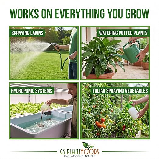 GS Plant Foods Root Ruckus Compost Fertilizer Organic Plant Food - Turbo Charged Compost for Plants - Humic Acid &amp Sea Kelp Nutritional Root Supplement for Lawns Soil Shrubs &amp Vegetables - 1