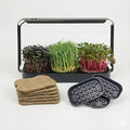 Microgreens Growing Kit Indoor Micro Greens Indoor Herb Garden Kit with LED Light 3 Microgreens Growing Trays 6 Jute Mats - Indoor Grow Kit &amp Herb Growing Kit (No Seeds)