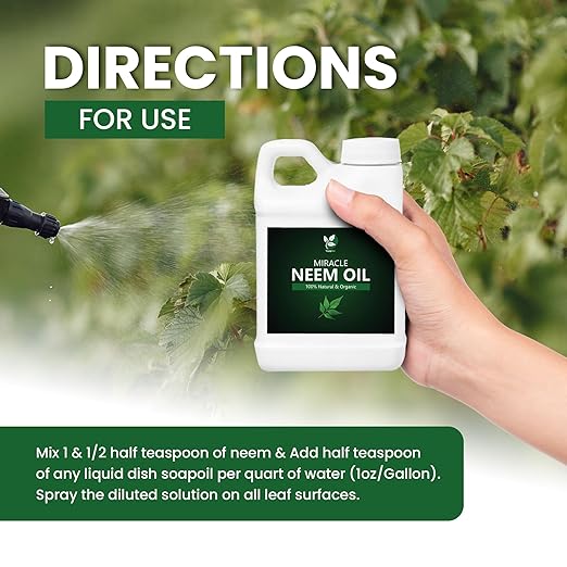 100% Pure Cold-Pressed Concentrated Neem Oil – Natural Care for Indoor &amp Outdoor Plants and Vegetables (32 Oz)