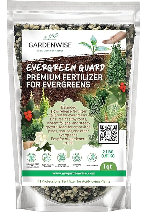 Evergreen Fertilizer – All-Purpose Granular Plant Food for Outdoor Trees and Shrubs Azaleas Magnolias Pines &amp Arborvitae – Slow-Release Formula (5 quarts)