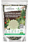 Evergreen Fertilizer – All-Purpose Granular Plant Food for Outdoor Trees and Shrubs Azaleas Magnolias Pines &amp Arborvitae – Slow-Release Formula (5 quarts)