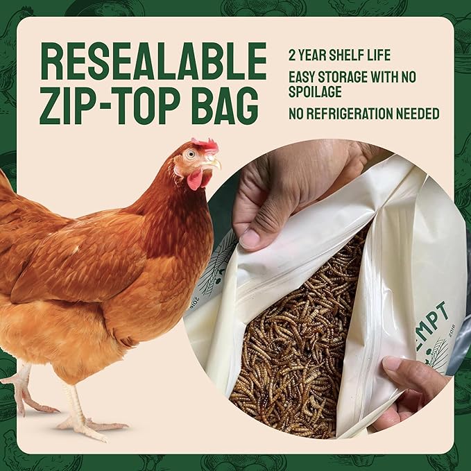 Hatortempt 20lb Dried Mealworms for Chickens - 50% Protein and 32% Essential Fats to Support Healthy Feather Growth During Molt - Organic Treats for Chickens Ducks Wild Birds &amp Reptiles