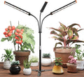 GooingTop Grow Light for Indoor Plants5000K Full Spectrum Growing Plant Lamp with White Red Blue LED for Pots Succulents Seed StartingHeight Adjustable 10-32'' with Optional Dimming &amp Timer