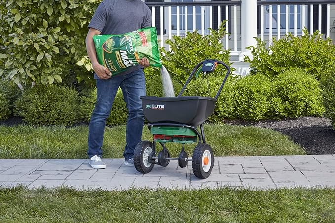 Scotts Green Max Lawn Food Lawn Food Plus Iron Supplement for Deep Greening 33.33 lbs. 2-Pack