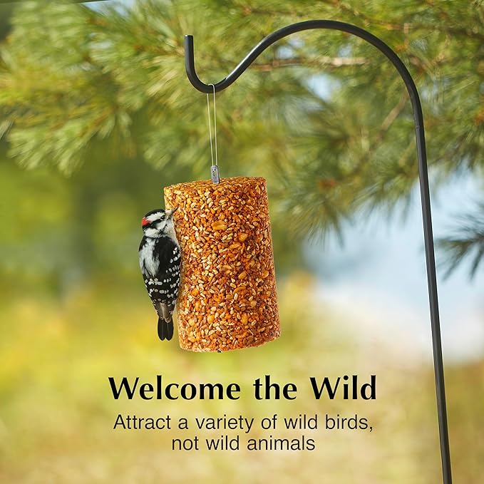 C&ampS Ready to Use Hot Pepper Bird Seed Cylinder Spicy Wild Bird Outdoor Feeder with Hanger 1.76 Pound Cylinder 2 Pack