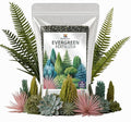 Gardenera Evergreen Fertilizer – All-Purpose Granular Plant Food for Outdoor Trees and Shrubs Azaleas Magnolias Pines &amp Arborvitae – Slow-Release Formula (5 Quarts)