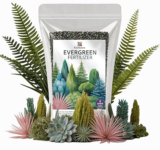 Gardenera Evergreen Fertilizer – All-Purpose Granular Plant Food for Outdoor Trees and Shrubs Azaleas Magnolias Pines &amp Arborvitae – Slow-Release Formula (5 Quarts)