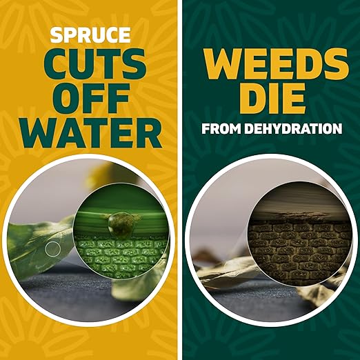 Spruce EZ-AIM Grass and Weed Killer Spray - Precision Shot for Cracks Edges &amp Small Spaces - Starts Wilting in 1 Hour Dead Weeds in 24 Hours (3 Pack 10 Oz Each)