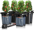 Spider Farmer DWC Hydroponics Grow System with 7-Gallon Deep Water Culture New Triangular Cover Design Recirculating Drip Garden System with Top Drip Kit 11W Air Pump 4 Buckets