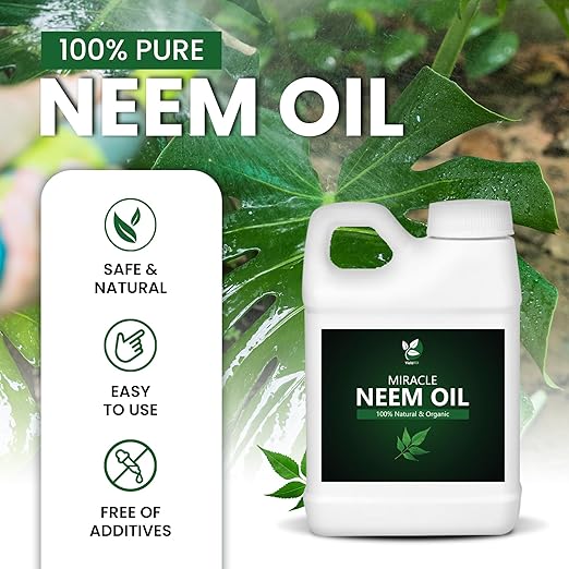 100% Pure Cold-Pressed Concentrated Neem Oil – Natural Care for Indoor &amp Outdoor Plants and Vegetables (32 Oz)