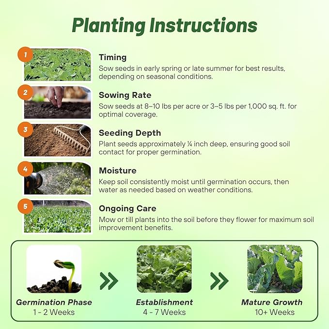 Outsidepride Bayou Kale Seeds - 10 lb. Annual Versatile &amp Cold-Tolerant Cover Crop Seeds for Planting Large Resilient Foliage for Livestock Grazing Erosion Control &amp Easy Growth