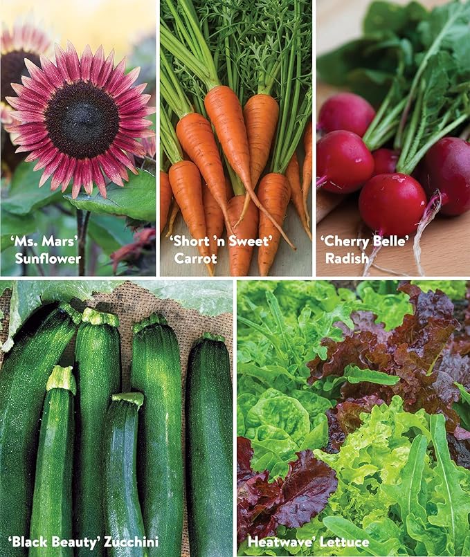 Burpee Garden Sown Flower Herb &amp Vegetable 10 Packs of Non-GMO Basil Lettuce Cucumber Radish Spinach Kale Zucchini Sunflower &amp Marigold Seeds for Planting