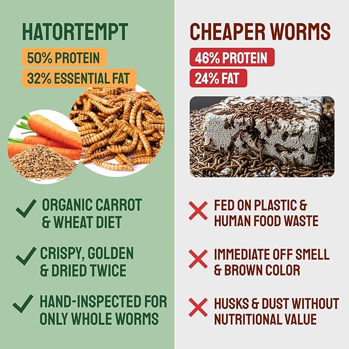 Hatortempt 2lb Dried Mealworms for Chickens - 50% Protein and 32% Essential Fats to Support Healthy Feather Growth During Molt - Organic Treats for Chickens Ducks Wild Birds &amp Reptiles