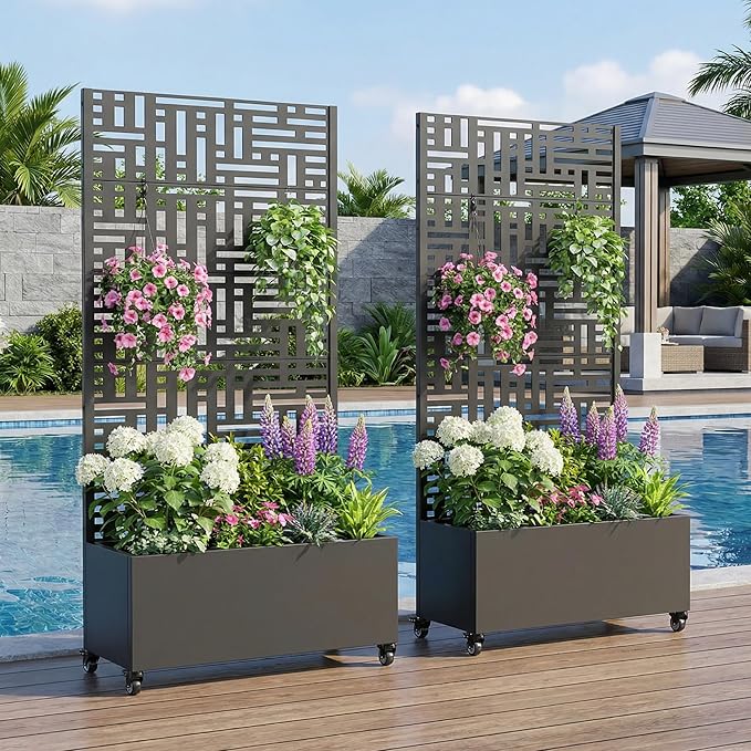 Casaphoria 72x35 Metal Raised Garden Bed with Trellis(2 Pack) Outdoor Planter Box with Wheels &amp Drainage Holes for Climbing Plants Flowers Elevated Garden Kit with Privacy Screen Black-Helen
